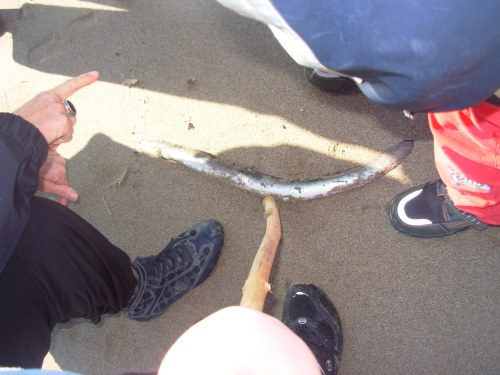 photo21